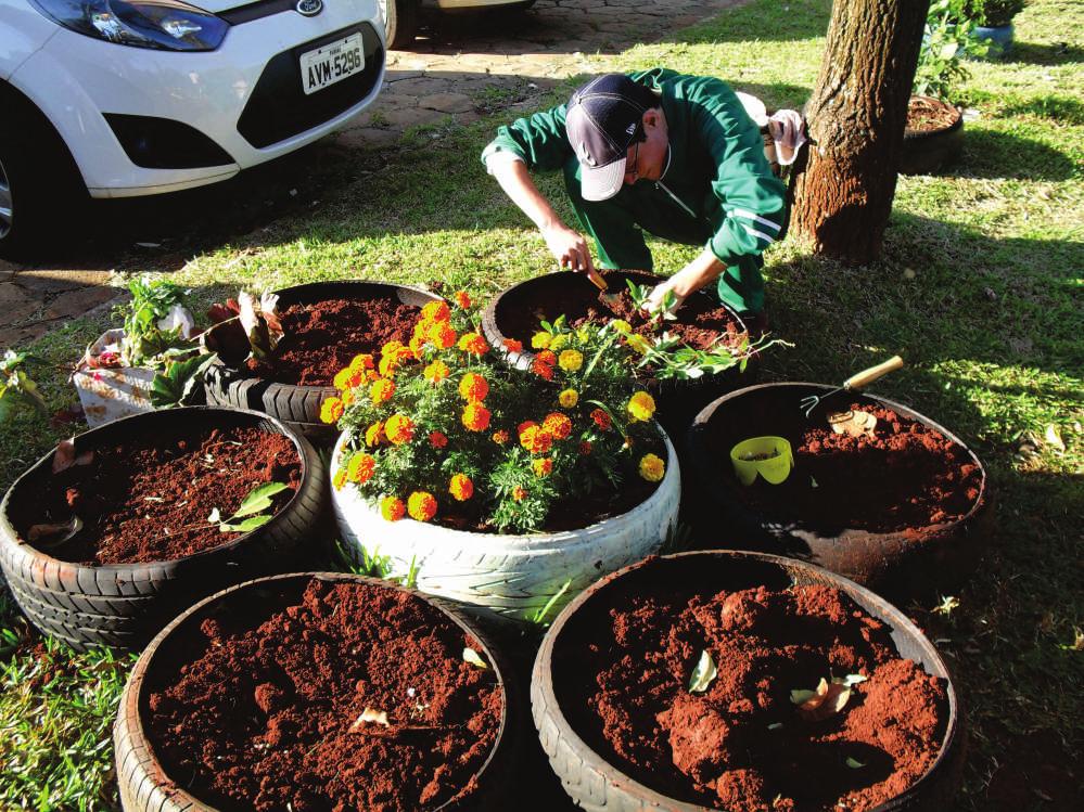 do projeto Canteiros prontos