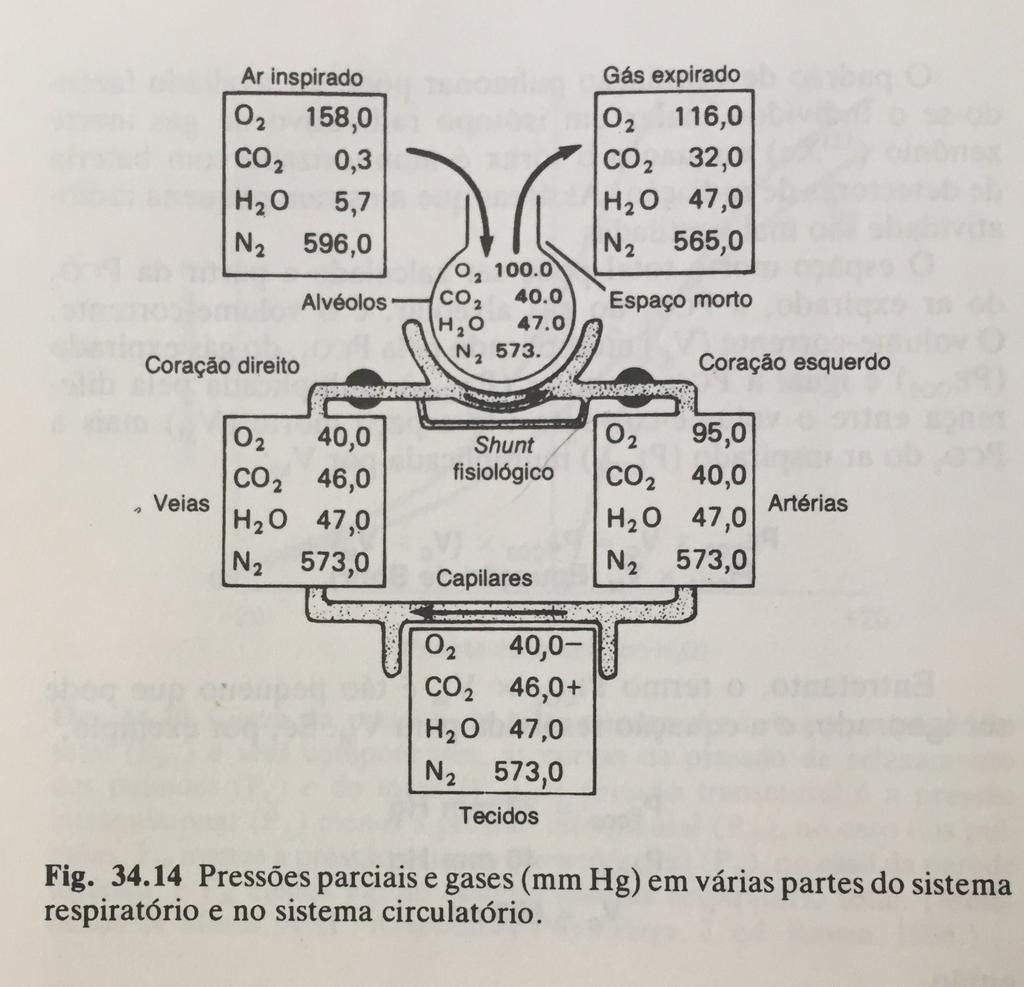 Trocas gasosas no pulmão e composição do ar