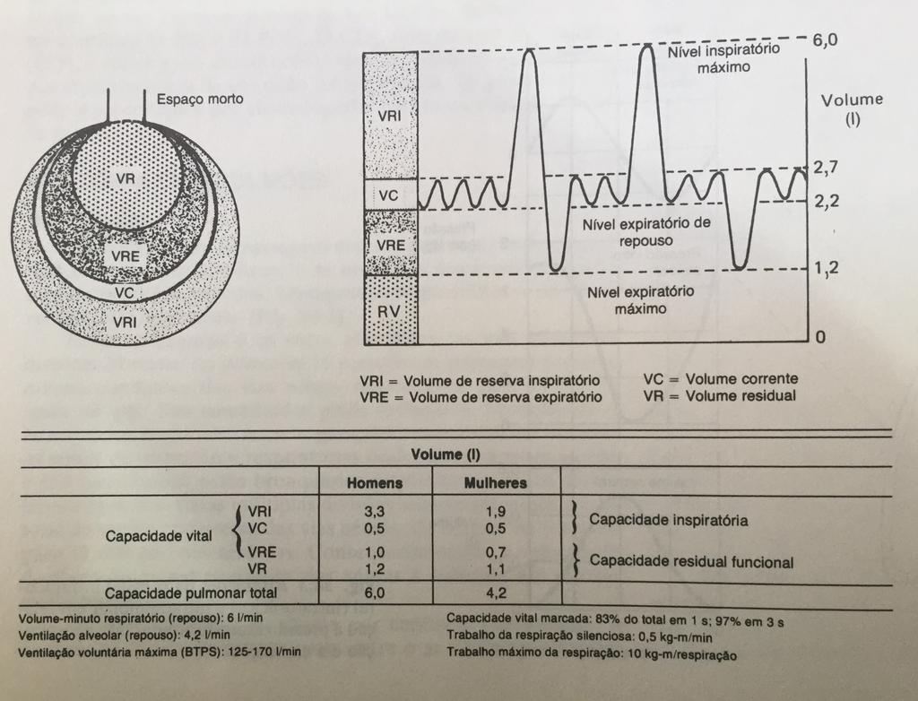 Volumes pulmonares Referência: