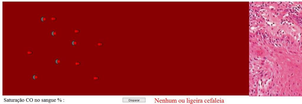 Algoritmos Genéticos Algoritmos genéticos são uma classe particular e algoritmos evolutivos que usam técnicas inspiradas pela biologia evolutiva como hereditariedade, mutação, seleção natural e