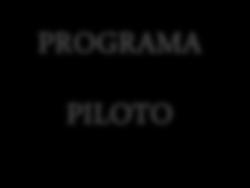 Programa Piloto METODOLOGIA PROGRAMA