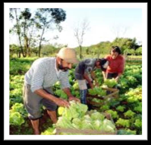 Agricultura Familiar Economia Solidária