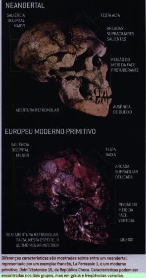 Fonte: Scientific American Brasil (edição especial