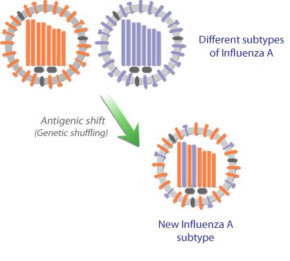 de influenza A.