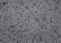 0μm Resistência a Quebras Classe MD205 MD220 MD230 MD2030 Características Alta resistência ao desgaste Apresenta partículas de diamante em grãos grossos.