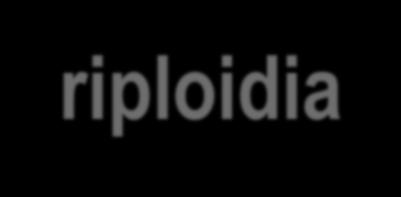 1 As alterações numéricas podem ser classificadas: Euploidia: ocorre quando há redução ou aumento em toda a coleção de cromossomos, formando células n (monoploidia), 3n (triploidia), 4n