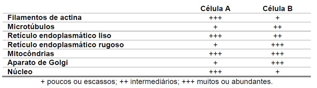 Estrutura de duas células extraídas de tecidos diferentes, observadas ao microscópio. Considerando os resultados, que função poderia ser desempenhada pelas células A e B, respectivamente?