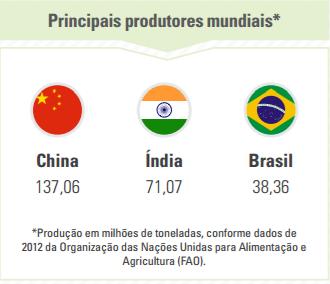 A fruticultura é um dos setores de maior destaque do agronegócio brasileiro.