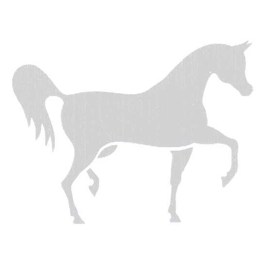 Os resultados obtidos nas Etapas do Campeonato ABHIR de Salto e Hipismo Rural, pelos conjuntos formados por cavaleiros sócios ABHIR montando cavalos árabes com registro na ABCCA, acumularão pontos no