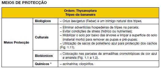 2. Pragas que afectam as bananeiras