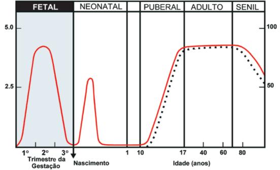 vaginais) O sexo genético XY desencadeia a cascata nte.