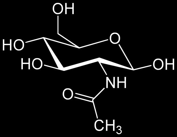 Galactose (Gal) O N-acetil-glicosamina