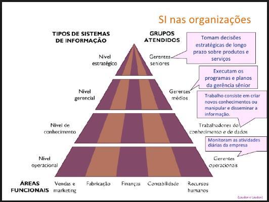 SISTEMAS DE NEGOCIOS 5.