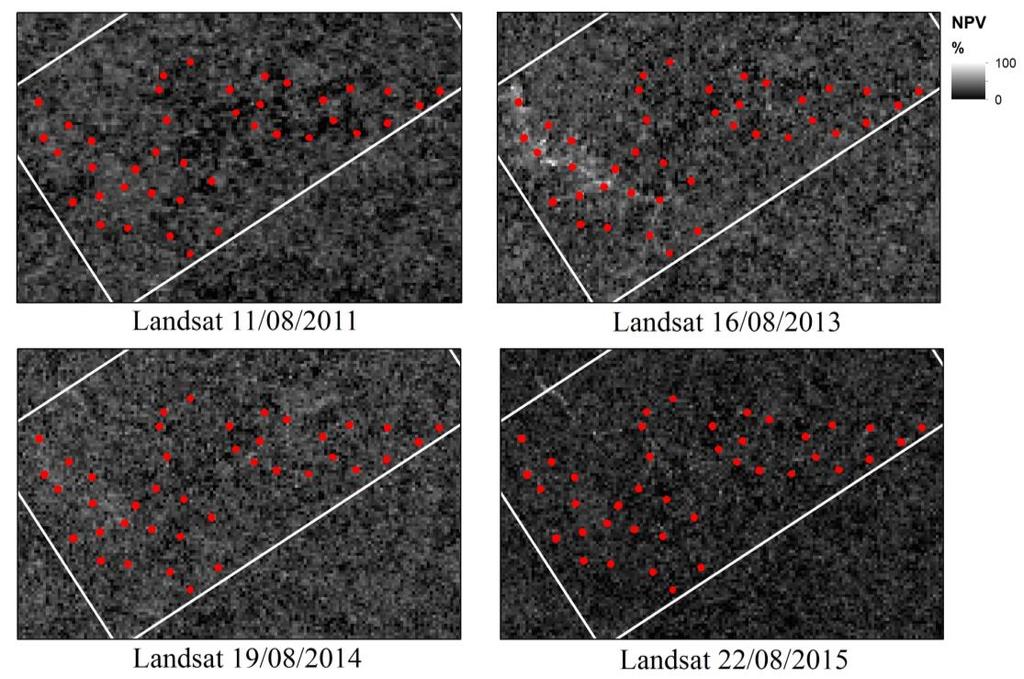 Figura 3. Detecção dos pátios na imagem NPV do ano de 2013 e relação com a área medida em campo.