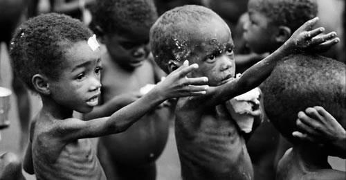 870 milhões pessoas passam fome no mundo 10,5 milhões morrem de fome por ano -