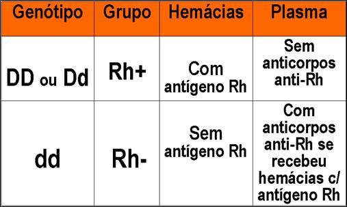 Além do sistema AB0, existe um outro sistema que determinam a produção de aglutinogênios na superfície das hemácias como o Rh. Eles determinam o fator Rh na superfície das hemácias.