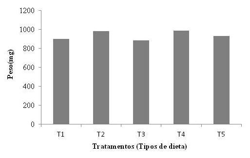 Figura 3. Peso (mg) de pupas de Tenebrio molitor alimentadas com diferentes dietas (Teste F, p > 0,05).