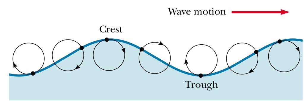 Curiosidade: Ondas na superfície da água não são nem longitudinais nem transversais, mas uma combinação de ambas: partículas na vizinhança da superfície descrevem trajetórias aproximadamente