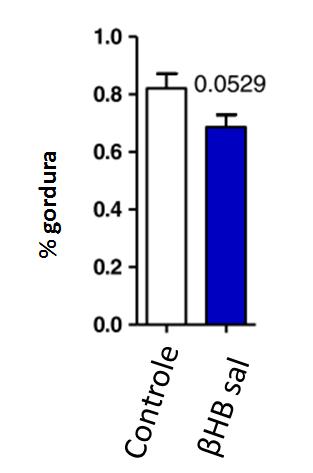 Gráfico com a % de gordura visceral e imagem com o volume dos adipócitos após 4 semanas de suplementação com βhb Resultados: A suplementação com βhb exógeno apresentou redução em 16% da gordura
