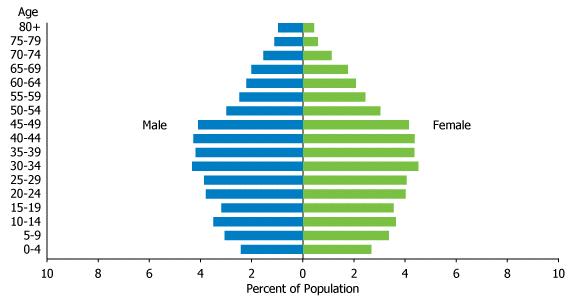 Coreia do Sul, o novo Japão? (15) [IMAGEM: A população da Coreia em 2005.