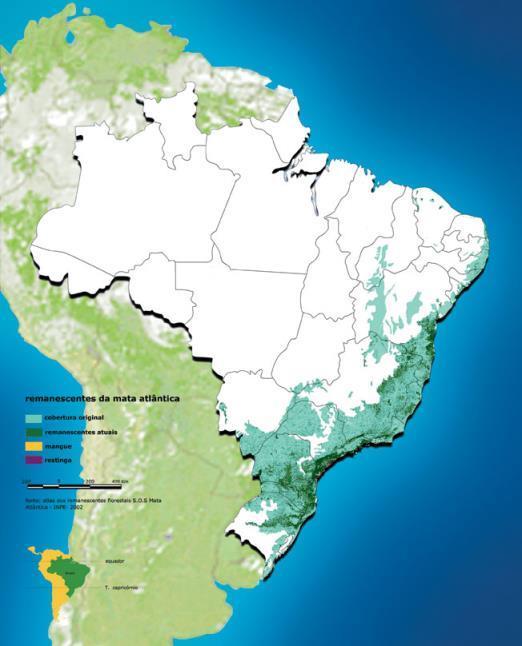 HOTSPOT DE BIO DIVERSIDADE 7 a 8% da área original PRINCIPAIS RAZÕES PARA O DESMATAMENTO: Construção e expansão de cidades Industrialização Extração de madeira Agricultura e pecuária Construção de