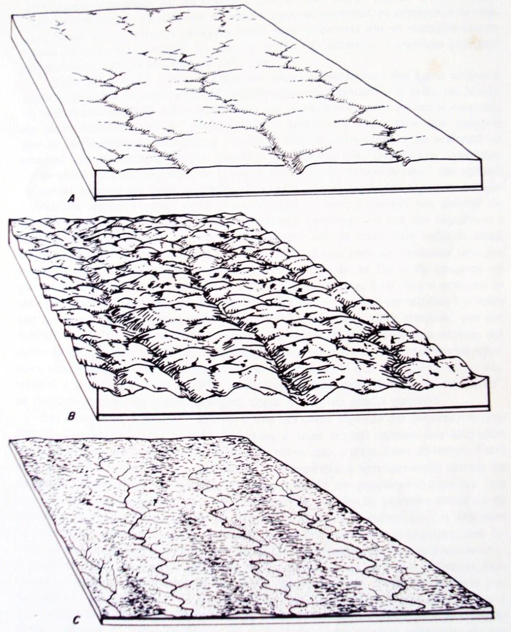 Geográfico de