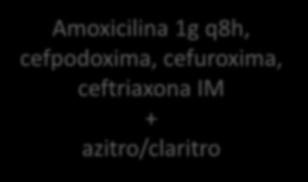 azitro/claritro Amoxicilina 1g q8h,