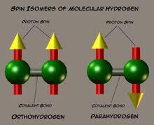 orto-di-hidrogênio os spins são
