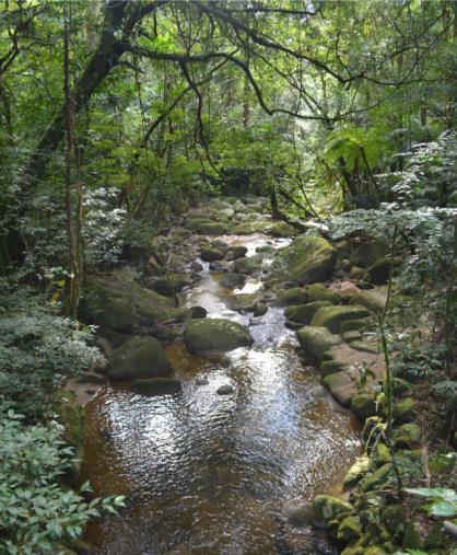 foram coletadas as amostras de água fluvial.