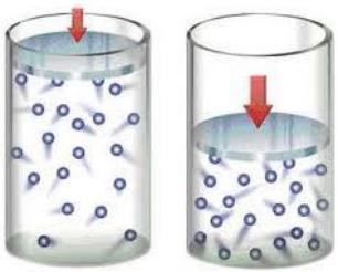 Um gás é formado por moléculas (que podem ser formadas por um ou mais átomos) que ocupam totalmente o volume do recipiente em que se encontram e exercem pressão sobre suas paredes.