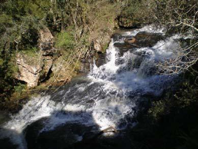 Butiazais Butiazais Cascata dos Lubiam Possui como destaque de seus eventos a Festa Regional da Criança, direcionado ao público infantil que ocorre