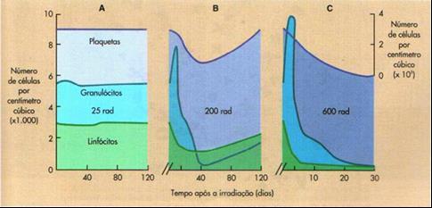 Questão nº 4 (5 pontos): Levando em consideração a exposição à radiação ionizante de corpo inteiro de uma cobaia, dose de 2 Gy, várias amostras de sangue foram coletadas com o passar do tempo.