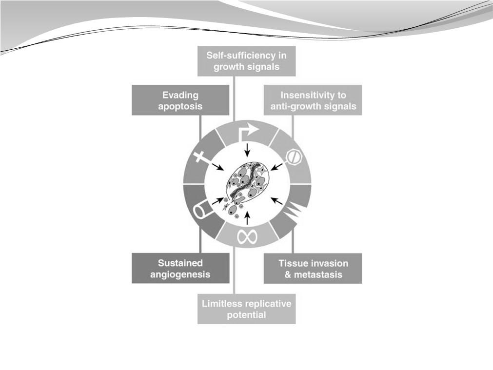 herdadas ou adquiridas ao longo da vida Invasão de células, tecidos e outras regiões do