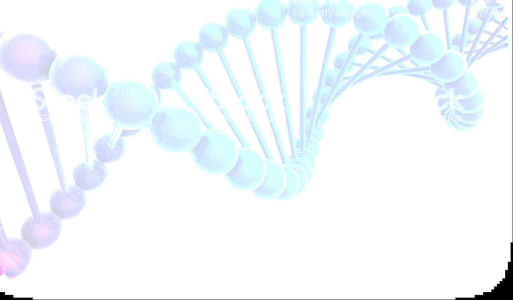 PCR Convencional (qualitativa) Tipagem Molecular É uma reação em cadeia, onde uma molécula é utilizada para produzir várias cópias do fragmento de