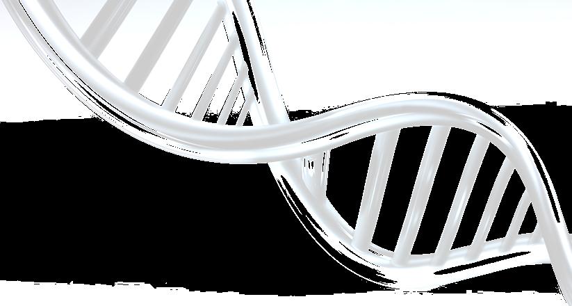 PCR Quantitativo ou PCR em tempo real (RT-PCR) Indica a quantidade de um DNA específico ou a presença de um determinado gene na amostra Permite simultaneamente a detecção (em tempo real) e a