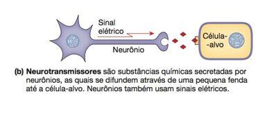 Comunicação célula-célula Comunicação de longa distância: