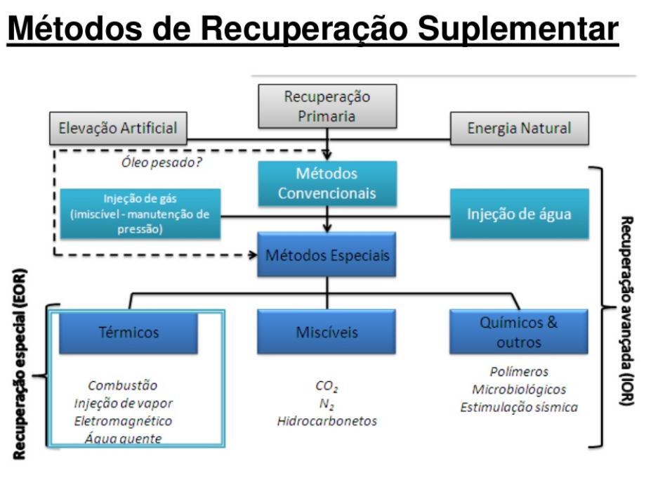 Para evitar esta queda na produtividade, temos duas linhas de ações.