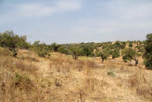 000 m 2, composto por lote de terreno para construção, inscrito na matriz