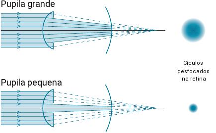 O olho como sistema óptico Profundidade de foco e profundidade de campo Ao diminuir de tamanho, a pupila impede a passagem dos raios periféricos que contribuem para a distorção da imagem retiniana.