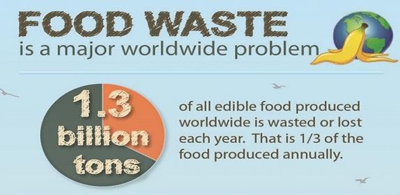 DESPERDÍCIO DE COMIDA é o maior problema mundial 1,3 bilhões de toneladas de todos os alimentos comestíveis