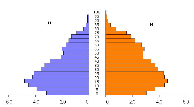 16 - Pirâmide Etária do Funchal, 1981 (%) Fonte: INE/DREM, Recenseamento Geral da População 1981 Fig.