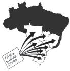 112 Que cultivares de feijão desenvolvidas pela Embrapa são recomendadas para os principais Estados produtores de feijão do Brasil?