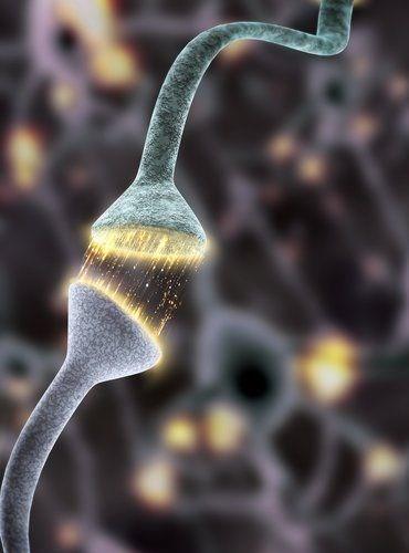 Transmissão Sináptica A transmissão da informação na sinapse química permite a comunicação intercelular, envolvendo o neurônio présináptico e a célula pós-sináptica.