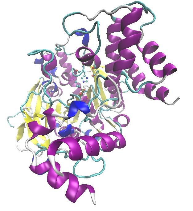 Notícia Relacionada 1 (Continuação) A estrutura da enzima, após a inibição por sarin, está mostrada abaixo, o retângulo central destaca o