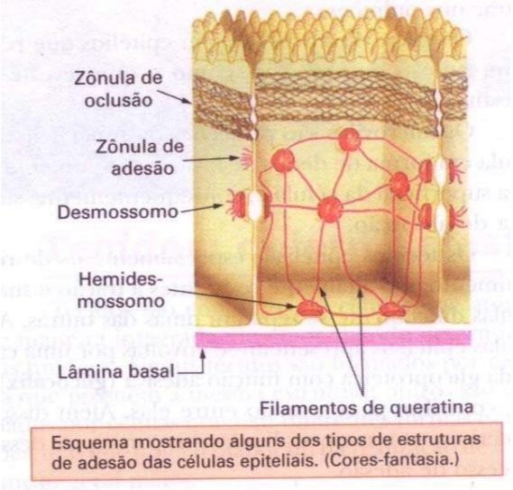 Junções