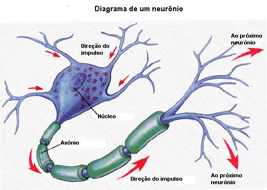 ESTRUTURA