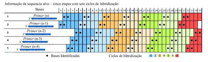 etapa de sequenciamento é composta basicamente de 5