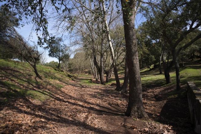 Vila Viçosa representa uma obra-prima do génio da criatividade humana pois a