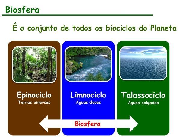 A BIOSFERA é subdividida em biociclos, nos quais são