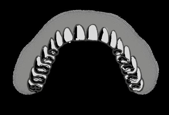CAPÍTULO 06 12. (FEPESE - Prefeitura de Florianópolis- -SC: Técnico em Higiene Bucal/2014) Em relação à anatomia do elemento dentário, é correto afirmar: 1.